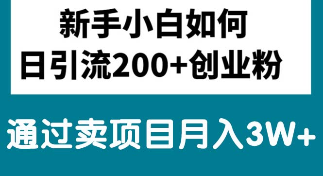 （10843期）新手小白日引流200+创业粉,通过卖项目月入3W+| 网创圈