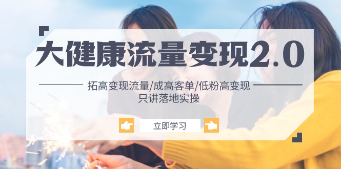 （10871期）大健康 流量 变现2.0：拓高变现 流量/成高客单/低粉高变现/只讲落地实战| 副业网