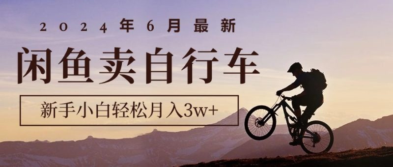 （10915期）2024年6月最新闲鱼卖自行车，新手小白轻松月入3w+项目| 网创圈