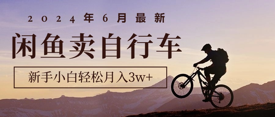 （10915期）2024年6月最新闲鱼卖自行车，新手小白轻松月入3w+项目| 网创圈