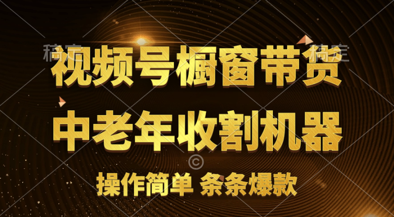 （11009期）[你的孩子成功取得高位]视频号最火爆赛道，橱窗带货，流量分成计划，条…| 网创圈