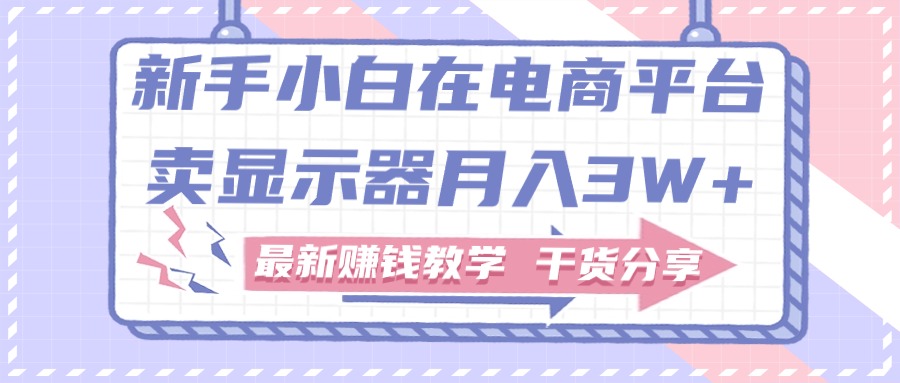 （11053期）新手小白如何做到在电商平台卖显示器月入3W+，最新赚钱教学干货分享| 网创圈