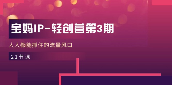 （11042期）宝妈IP-轻创营第3期，人人都能抓住的流量风口（21节课）| 网创圈