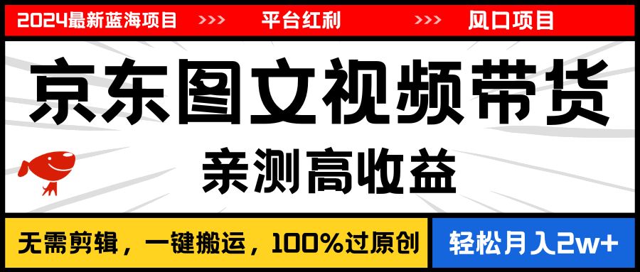 （11147期）2024最新蓝海项目，逛逛京东图文视频带货，无需剪辑，月入20000+| 网创圈