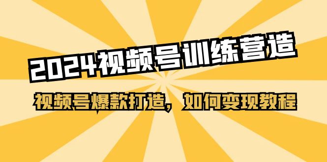 （11135期）2024视频号训练营，视频号爆款打造，如何变现教程（20节课）| 网创圈