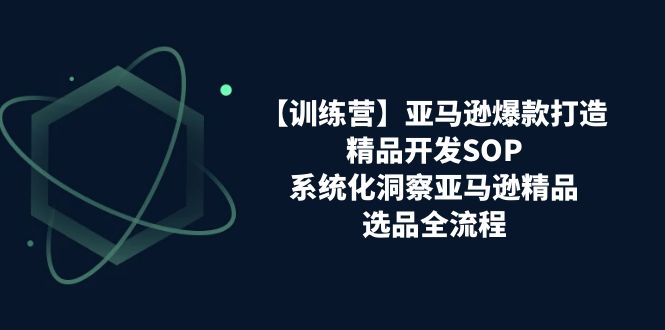 （11210期）【训练营】亚马逊爆款打造之精品开发SOP，系统化洞察亚马逊精品选品全流程| 网创圈