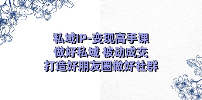（11209期）私域IP-变现高手课：做好私域 被动成交，打造好朋友圈做好社群（18节）| 网创圈