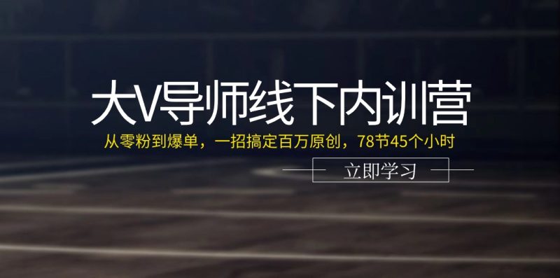 （11261期）大V导师线下内训营：从零粉到爆单，一招搞定百万原创，78节45个小时| 副业网