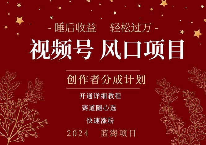 （11331期）拥有睡眠收益的微信视频号大风口项目，轻松月入过万+，多赛道选择，可…| 网创圈