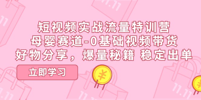 （11373期）短视频实战流量特训营，母婴赛道-0基础带货，好物分享，爆量秘籍 稳定出单| 网创圈