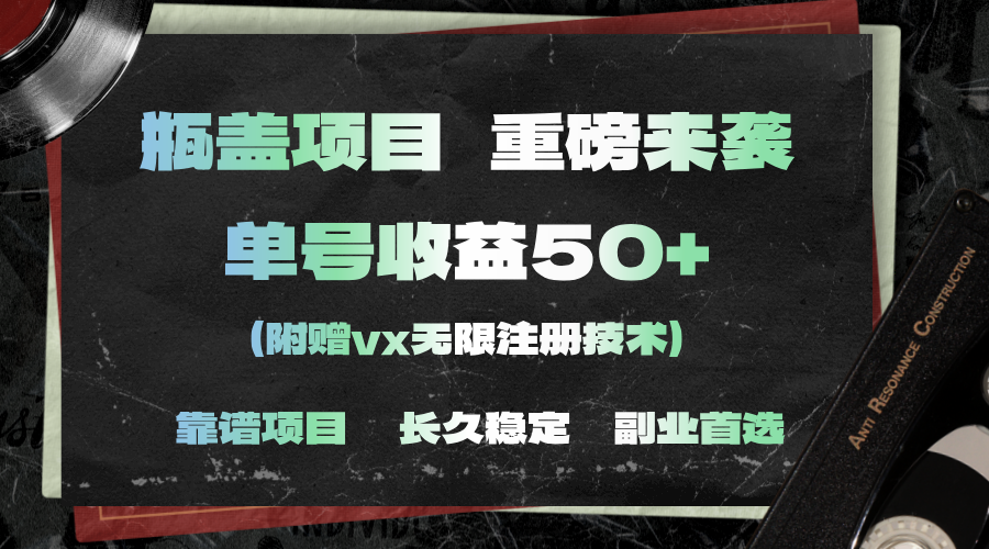 （11381期）一分钟一单，一单利润30+，适合小白操作| 网创圈