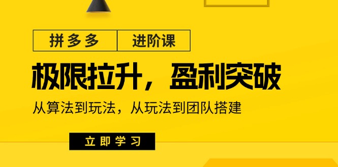 （11435期）拼多多·进阶课：极限拉升/盈利突破：从算法到玩法 从玩法到团队搭建-18节| 副业网