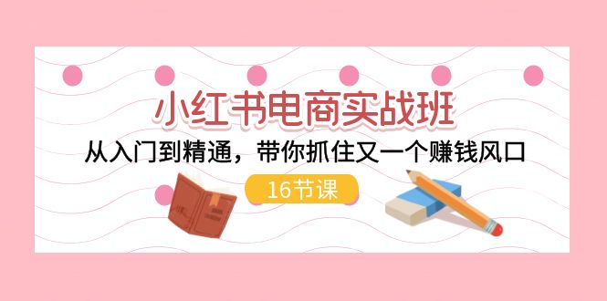 （11533期）小红书电商实战班，从入门到精通，带你抓住又一个赚钱风口（16节）| 网创圈