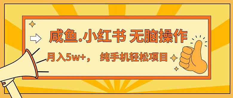 （11524期）2024最赚钱的项目，咸鱼，小红书无脑操作，每单利润500+，轻松月入5万+…| 网创圈