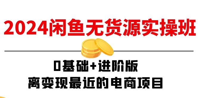 （11535期）2024闲鱼-无货源实操班：0基础+进阶版，离变现最近的电商项目（15节）| 网创圈