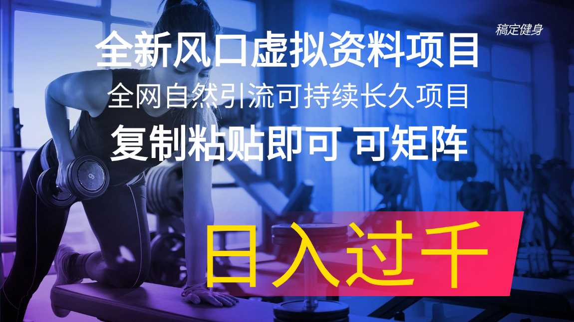 （11587期）全新风口虚拟资料项目 全网自然引流可持续长久项目 复制粘贴即可可矩阵…| 网创圈