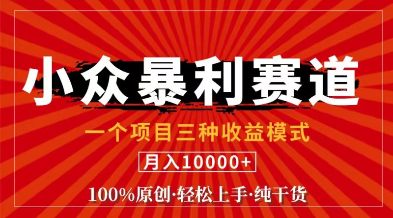 （11695期）视频号【中老年粉深信不疑】小众赛道 100%原创 手把手教学 新号3天收益…| 副业网