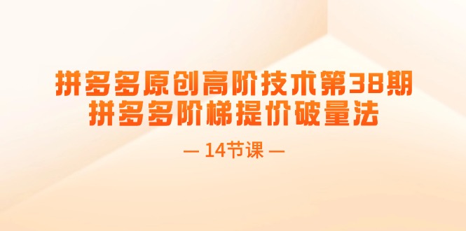 （11704期）拼多多原创高阶技术第38期，拼多多阶梯提价破量法（14节课）| 网创圈