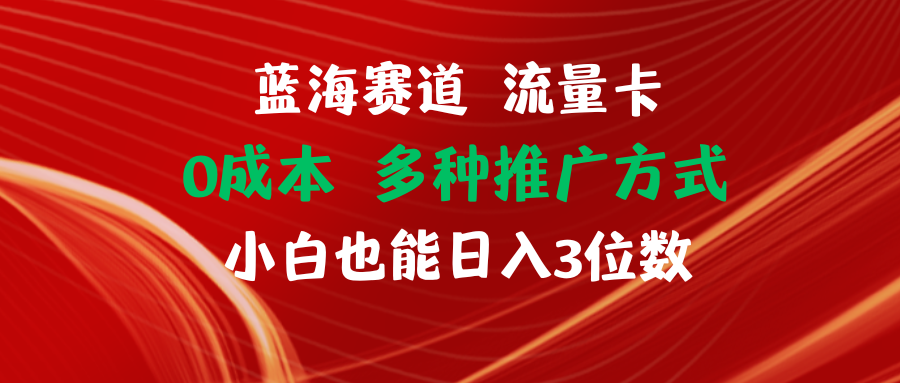 （11768期）蓝海赛道 流量卡 0成本 小白也能日入三位数| 网创圈