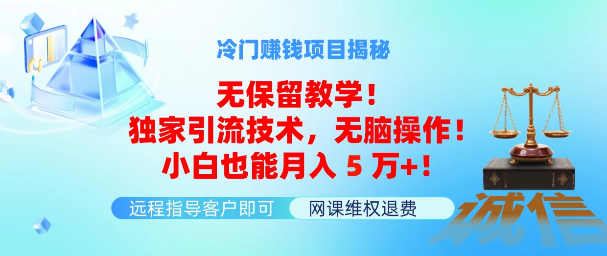 （11864期）冷门赚钱项目无保留教学！独家引流技术，无脑操作！小白也能月入5万+！| 网创圈