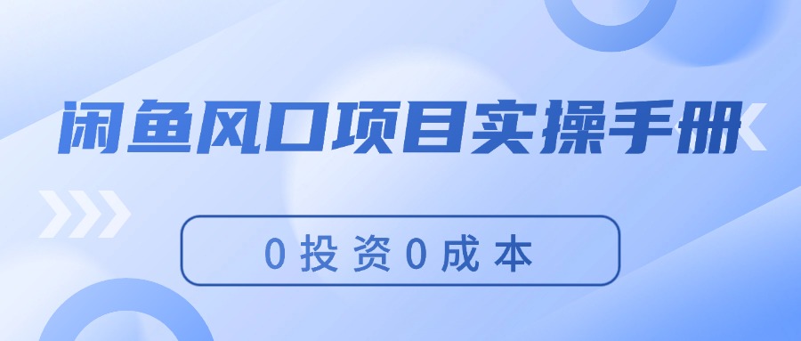 （11923期）闲鱼风口项目实操手册，0投资0成本，让你做到，月入过万，新手可做| 网创圈