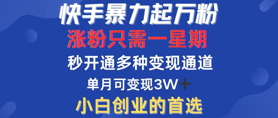 （12651期）快手暴力起万粉，涨粉只需一星期，多种变现模式，直接秒开万合，小白创…| 网创圈
