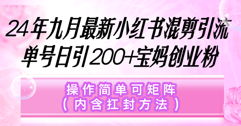 （12530期）小红书混剪引流，单号日引200+宝妈创业粉，操作简单可矩阵（内含扛封…| 副业网