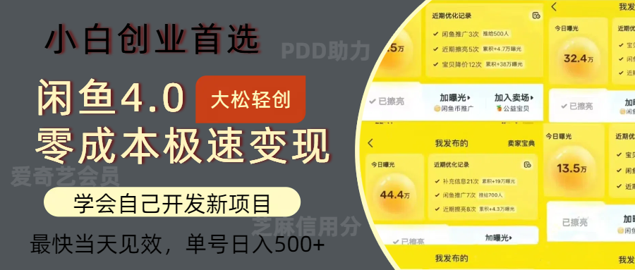（12434期）闲鱼0成本极速变现项目，多种变现方式 单号日入500+最新玩法| 网创圈