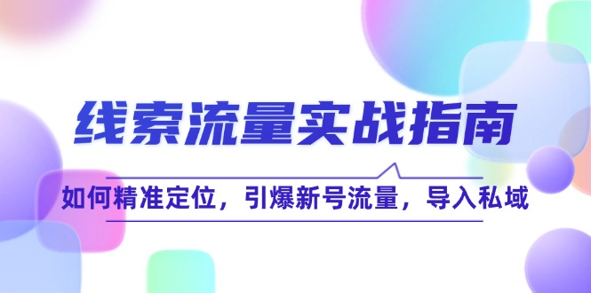 （12382期）线 索 流 量-实战指南：如何精准定位，引爆新号流量，导入私域| 网创圈