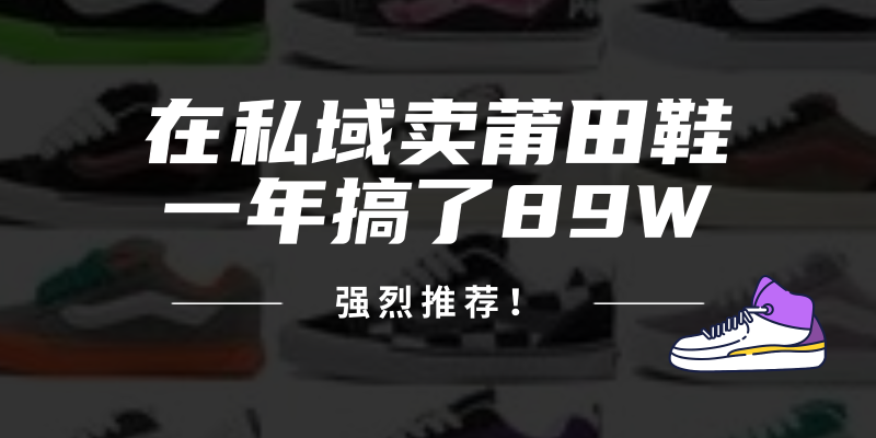 （12370期）24年在私域卖莆田鞋，一年搞了89W，强烈推荐！| 网创圈
