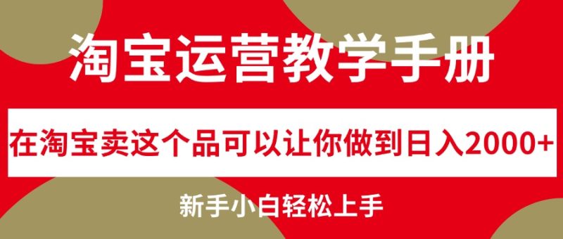 （12351期）淘宝运营教学手册，在淘宝卖这个品可以让你做到日入2000+，新手小白轻…| 网创圈