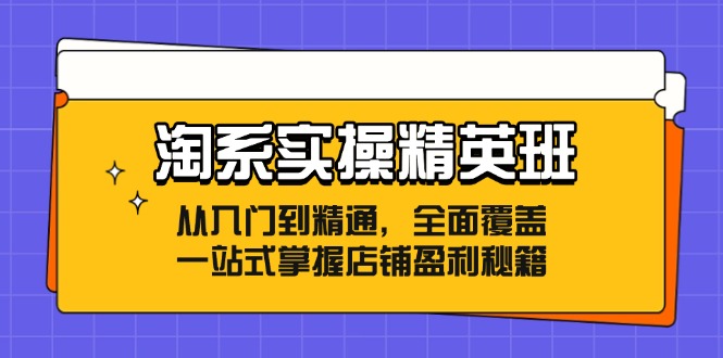 （12276期）淘系实操精英班：从入门到精通，全面覆盖，一站式掌握店铺盈利秘籍| 网创圈
