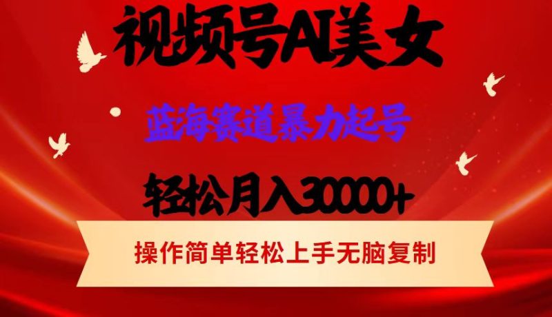 （12178期）视频号AI美女跳舞，轻松月入30000+，蓝海赛道，流量池巨大，起号猛，当…| 网创圈