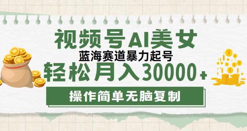 （12087期）视频号AI美女跳舞，轻松月入30000+，蓝海赛道，流量池巨大，起号猛，无…| 网创圈