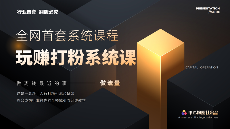 （12037期）全网首套系统打粉课，日入3000+，手把手各行引流SOP团队实战教程| 网创圈