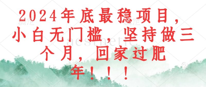 （12970期）2024年底最稳项目，小白无门槛，坚持做三个月，回家过肥年！！！| 副业网