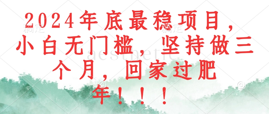 （12970期）2024年底最稳项目，小白无门槛，坚持做三个月，回家过肥年！！！| 网创圈