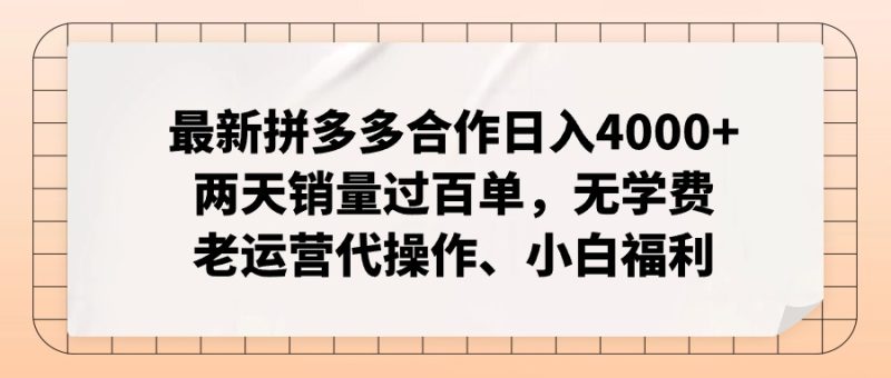 （12869期）拼多多最新合作日入4000+两天销量过百单，无学费、老运营代操作、小白福利| 副业网