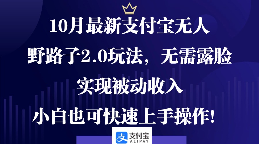 （12824期）10月最新支付宝无人野路子2.0玩法，无需露脸，实现被动收入，小白也可…| 网创圈