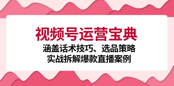 （12808期）视频号运营宝典：涵盖话术技巧、选品策略、实战拆解爆款直播案例| 副业网