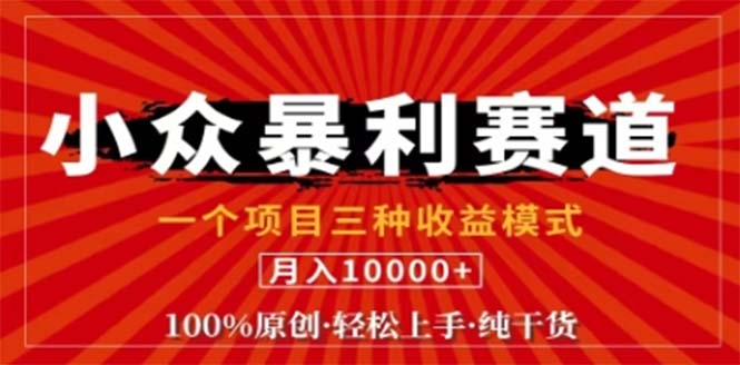 （12756期）视频号最新爆火赛道，三种可收益模式，0粉新号条条原创条条热门 日入1000+| 网创圈
