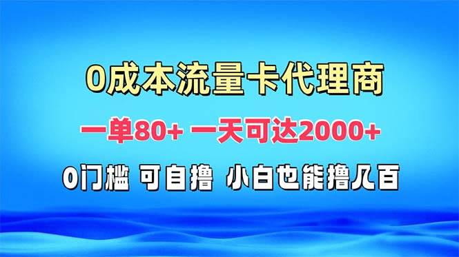 （13391期）免费流量卡代理一单80+ 一天可达2000+| 副业网