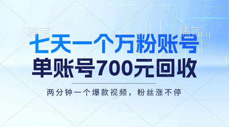 （13062期）七天一个万粉账号，新手小白秒上手，单账号回收700元，轻松月入三万＋| 副业网