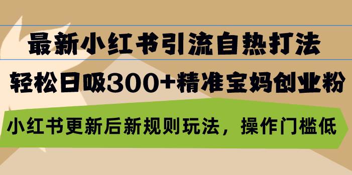 （13145期）最新小红书引流自热打法，轻松日吸300+精准宝妈创业粉，小红书更新后新…| 网创圈