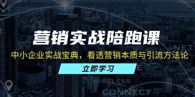 （13146期）营销实战陪跑课：中小企业实战宝典，看透营销本质与引流方法论| 网创圈