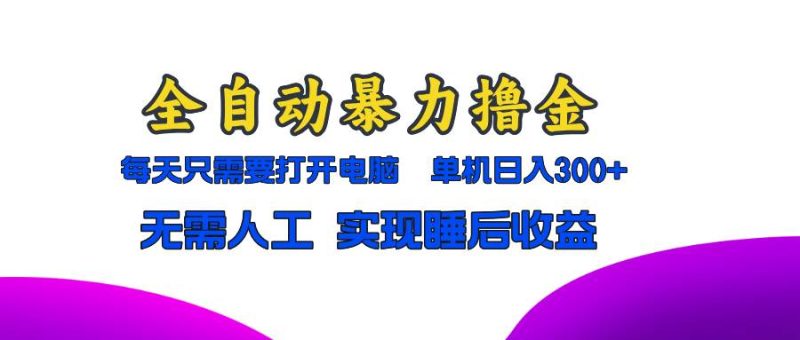 （13186期）全自动暴力撸金，只需要打开电脑，单机日入300+无需人工，实现睡后收益| 网创圈