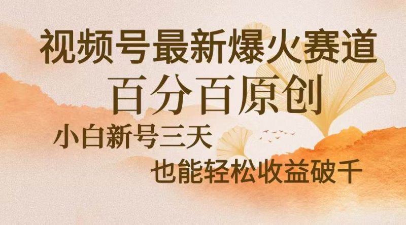 （13225期）视频号最新爆火赛道，中老年粉深信不疑，百分百原创，新号三天收益轻松…| 副业网
