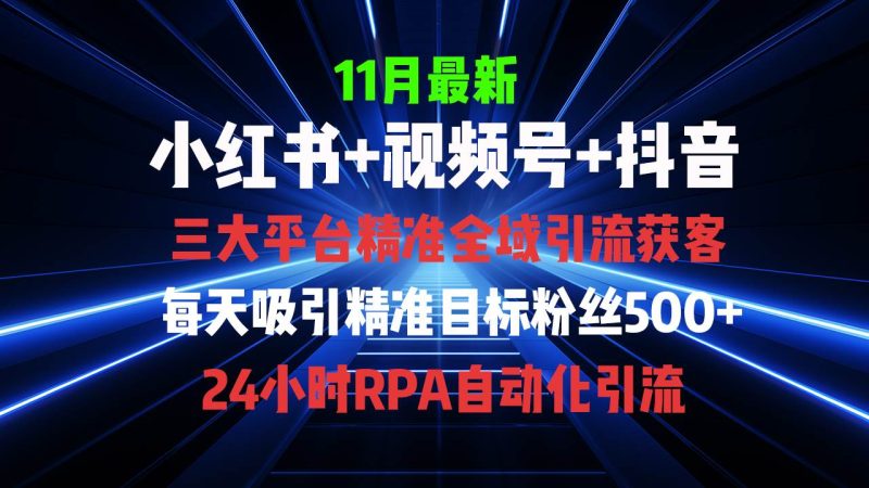 （13259期）全域多平台引流私域打法，小红书，视频号，抖音全自动获客，截流自…| 网创圈