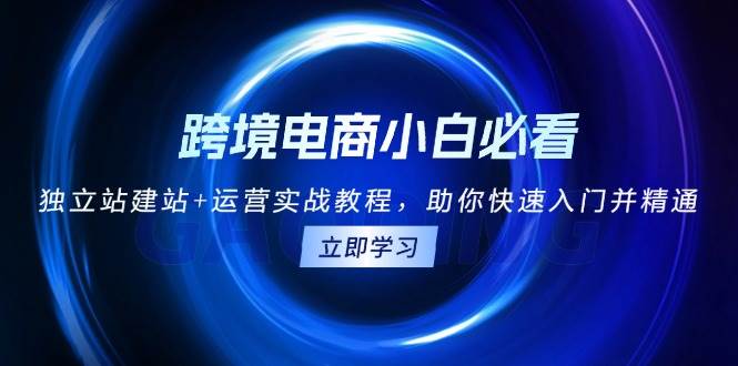 （13502期）跨境电商小白必看！独立站建站+运营实战教程，助你快速入门并精通| 网创圈