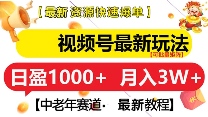 （13530期）视频号最新玩法 中老年赛道 月入3W+| 网创圈